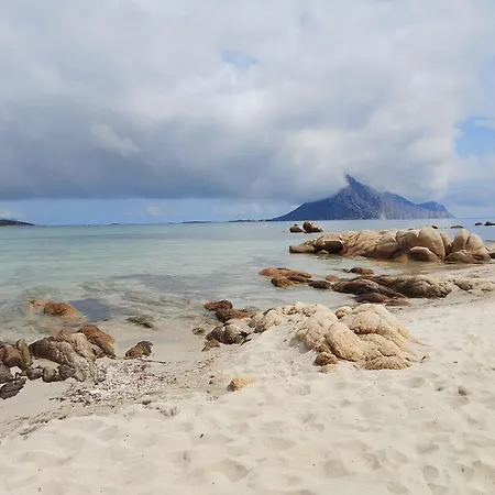 Stefy Porto Taverna Cala Ghjlgolu