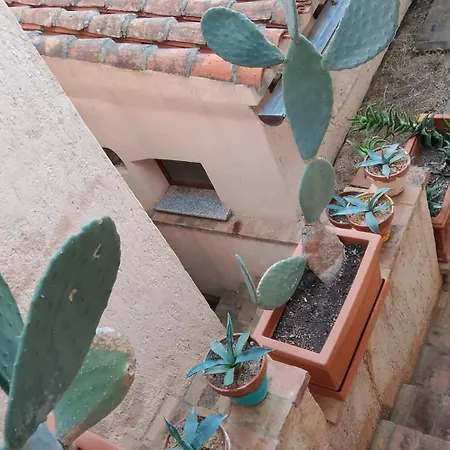 Stefy Porto Taverna Cala Ghjlgolu Βίλα Monte Petrosu